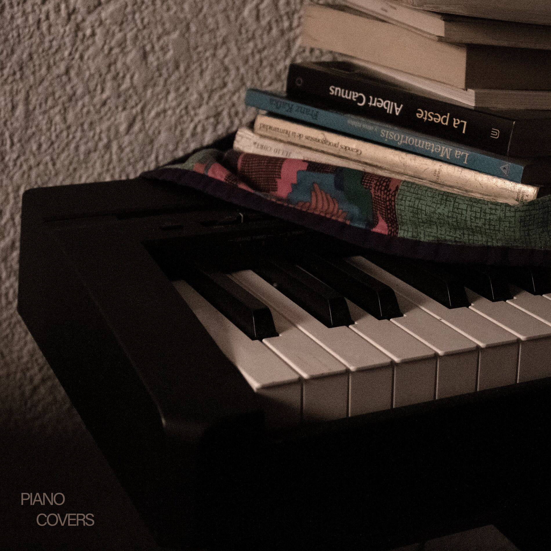 Album cover of Piano Covers