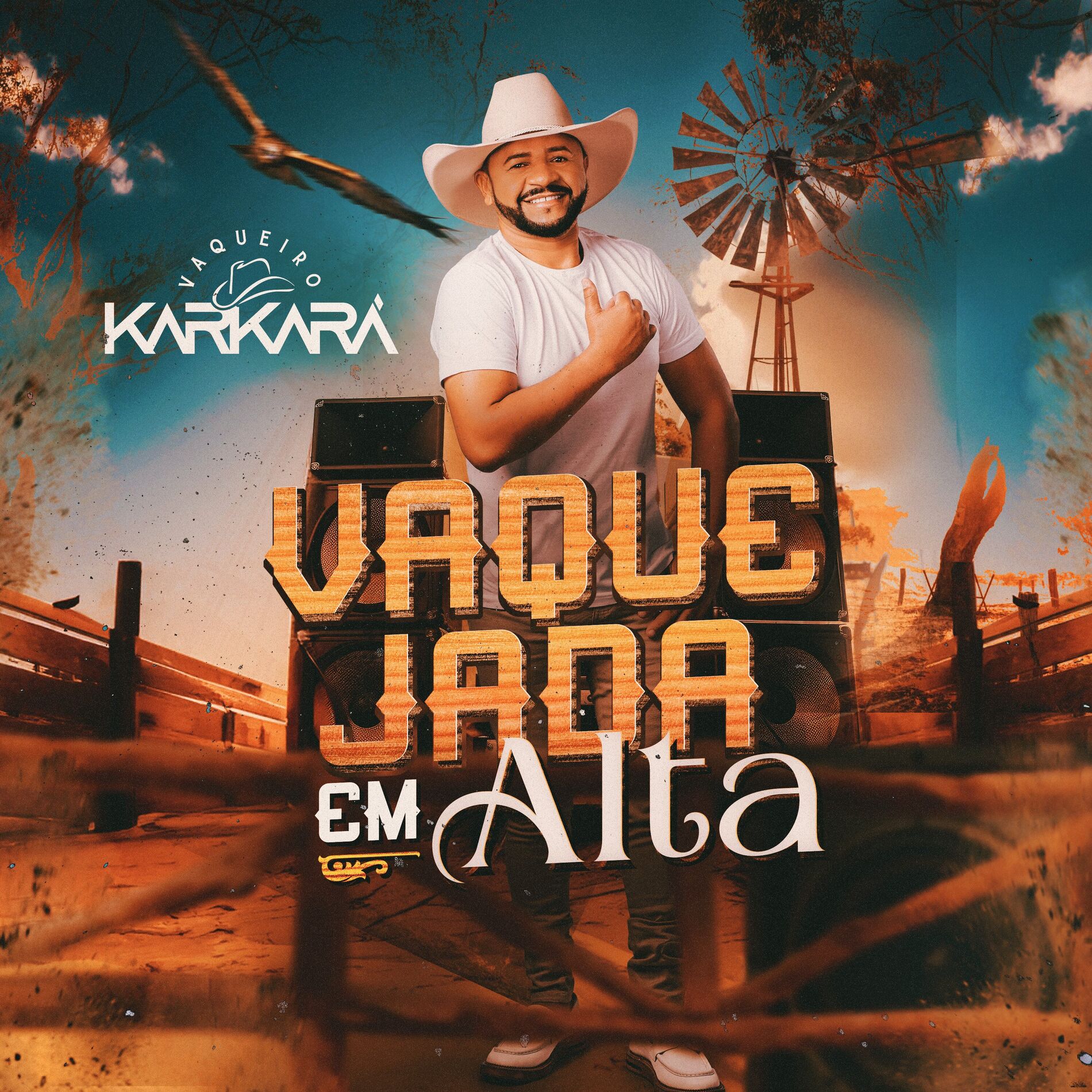 Album cover of Vaquejada em Alta