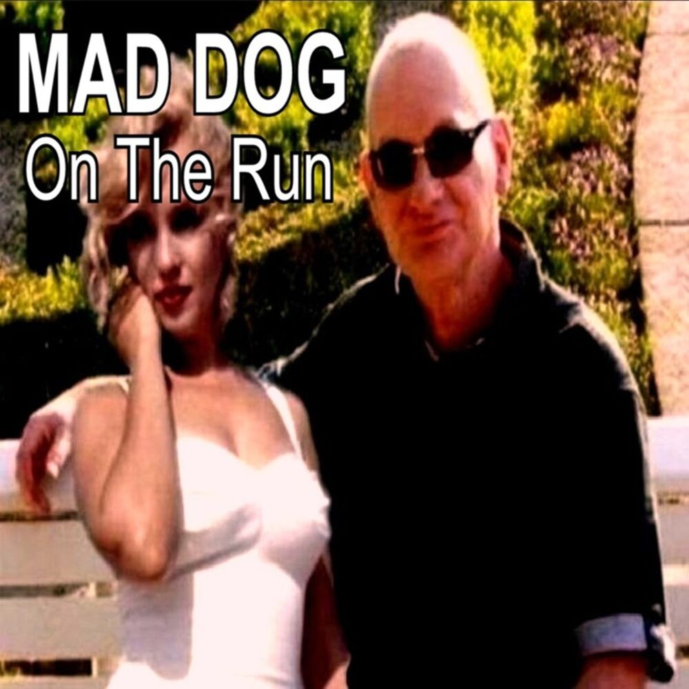 Picture of On the Run