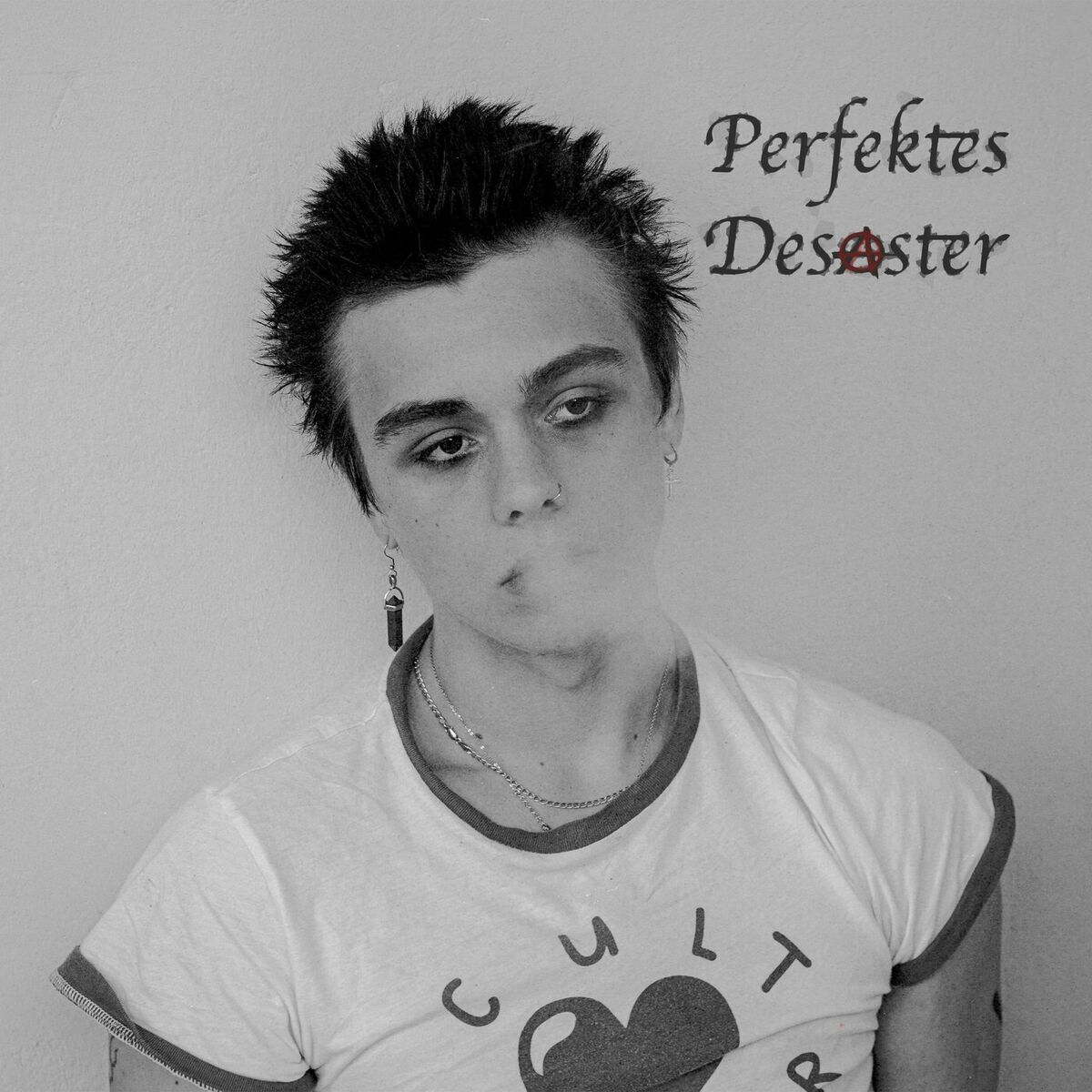 Album cover of Perfektes Desaster