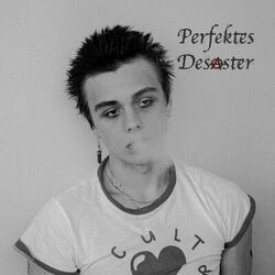 Cover of Perfektes Desaster
