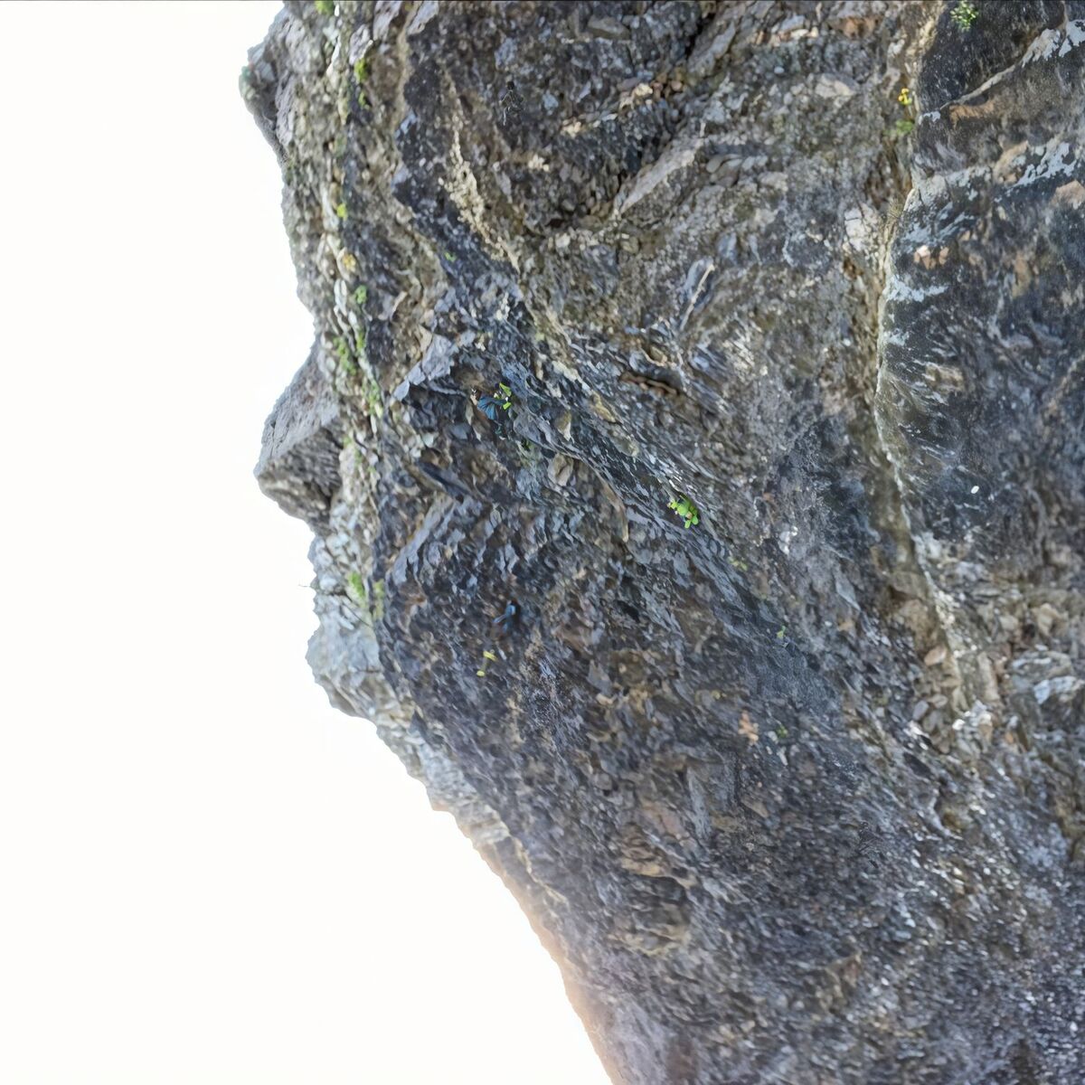Album cover of Sanctuary