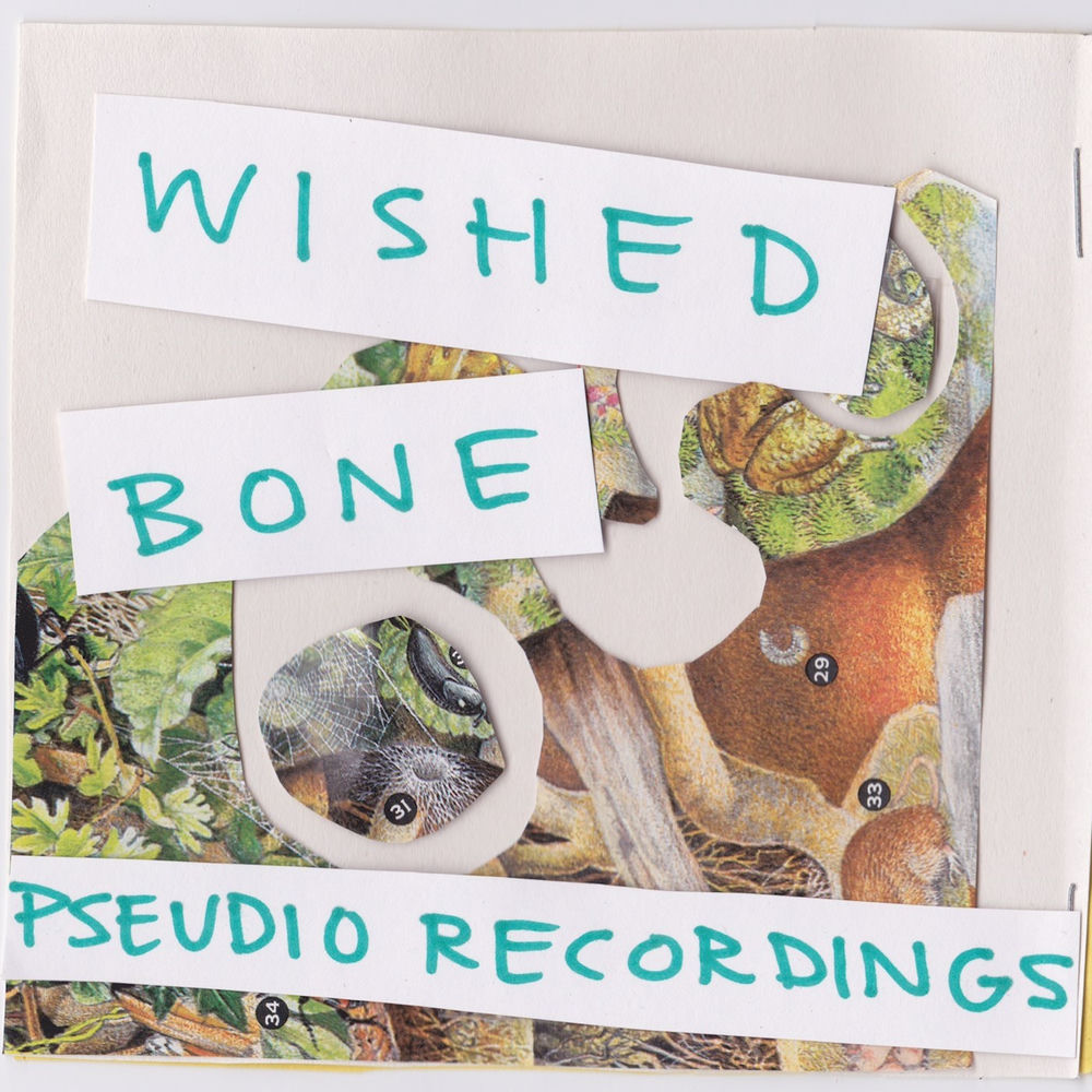 wish bone net worth 2024 - Ilustrasi 2