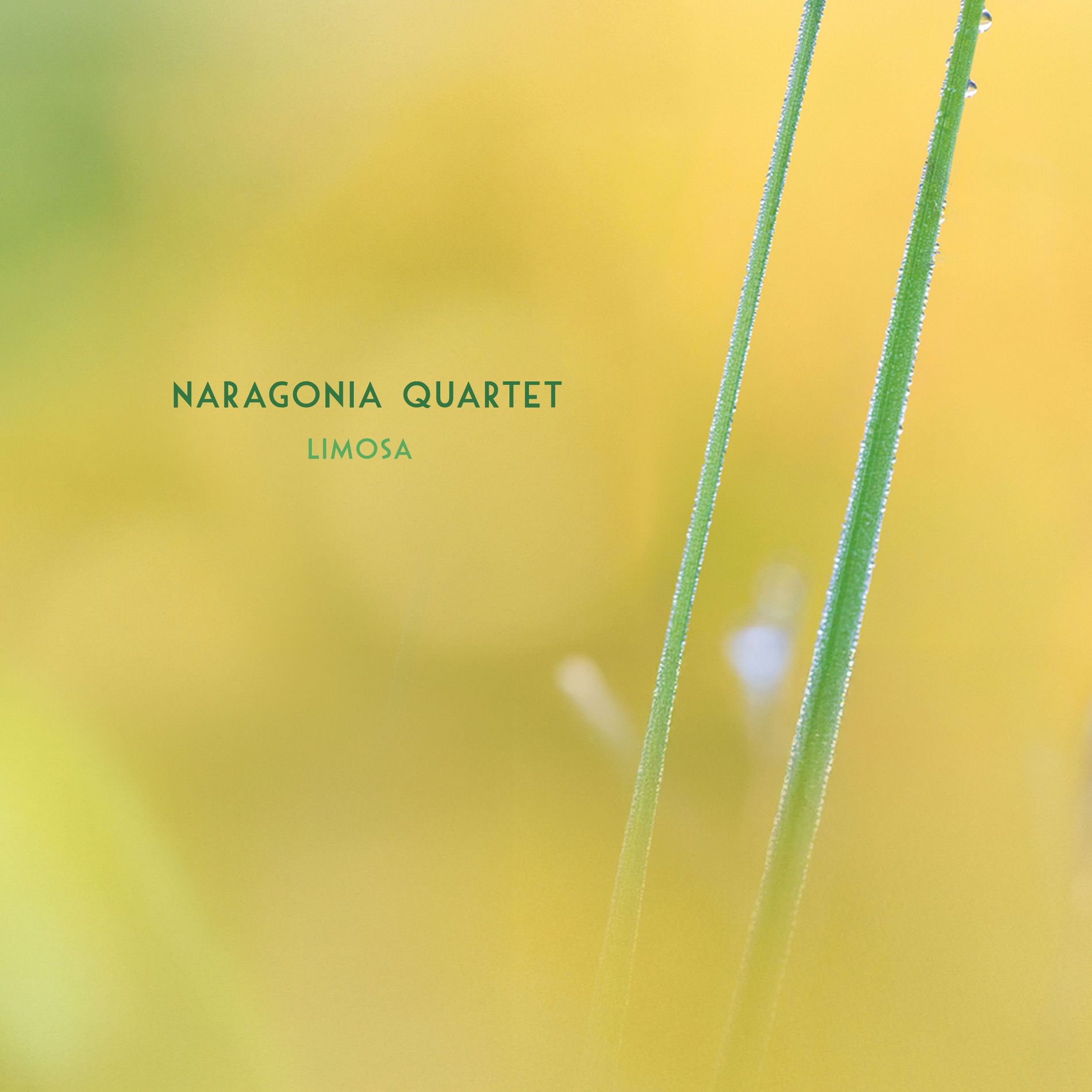 Album cover of Limosa