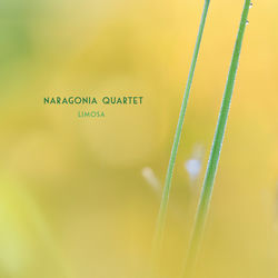 Pochette album