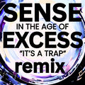 Sense in the Age of Excess ("It's a Trap" Remix)