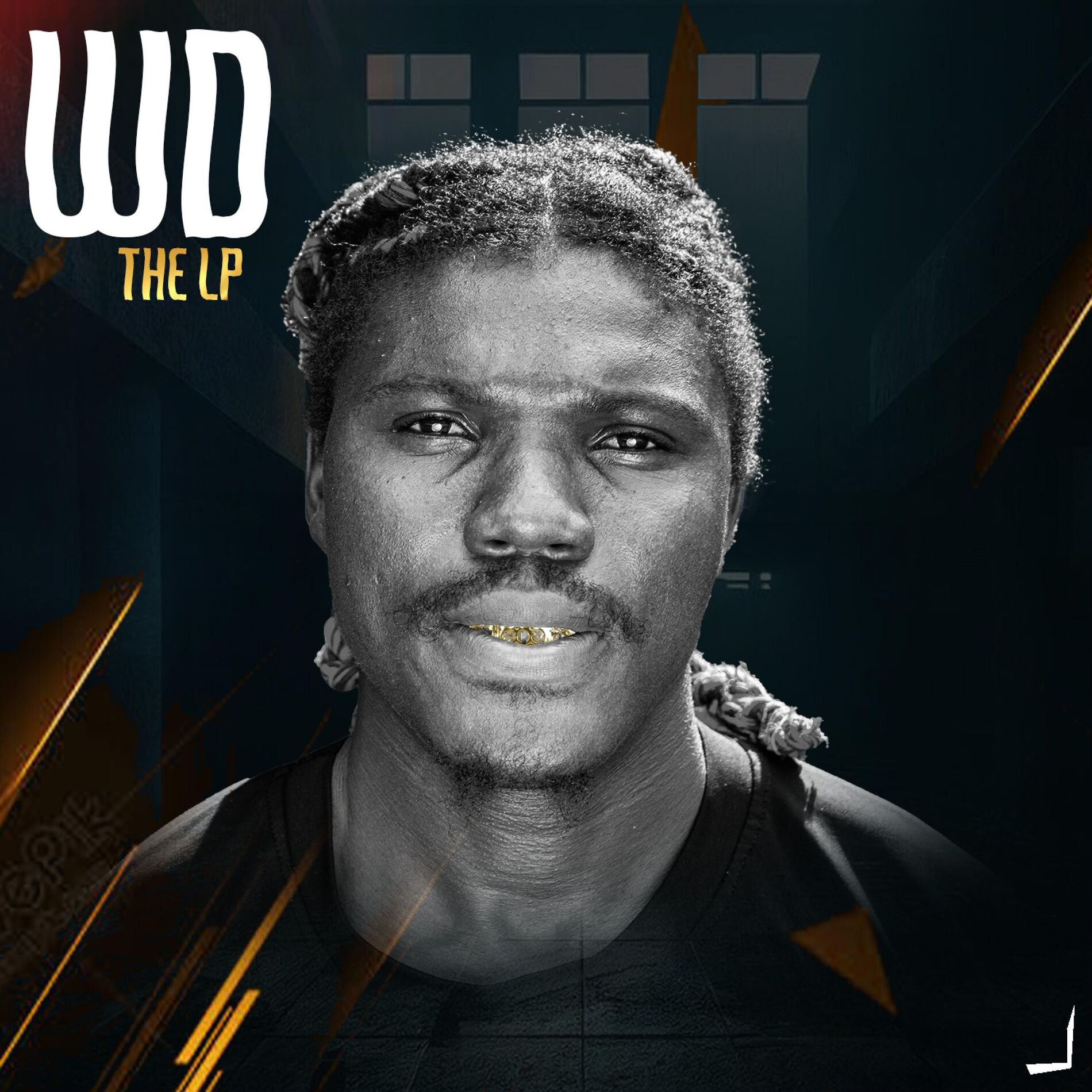 Album cover of WD the Lp