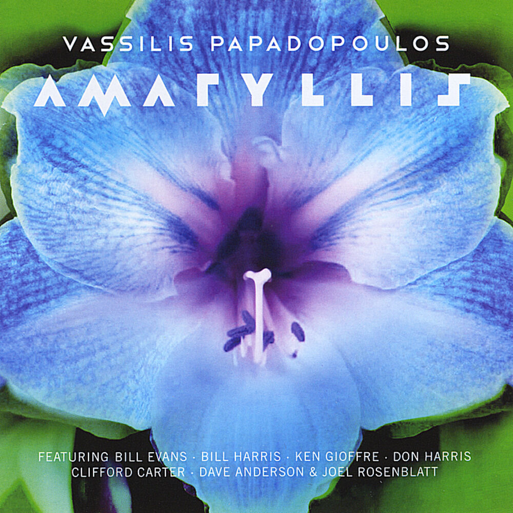 Picture of Amaryllis