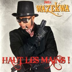 Cover of Haut les mains !