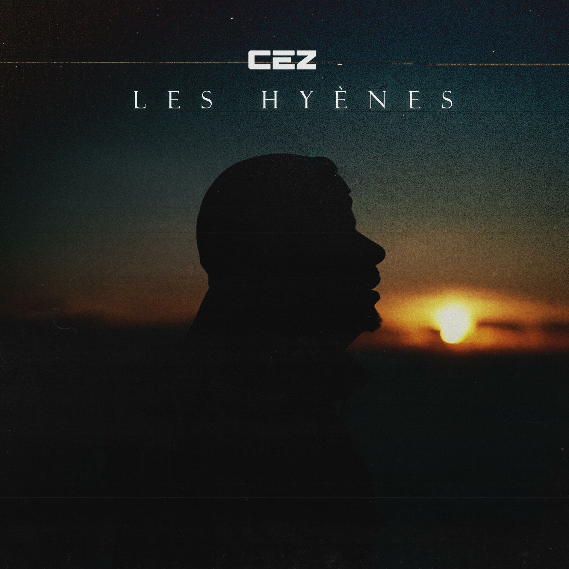 Album cover of LES HYÈNES