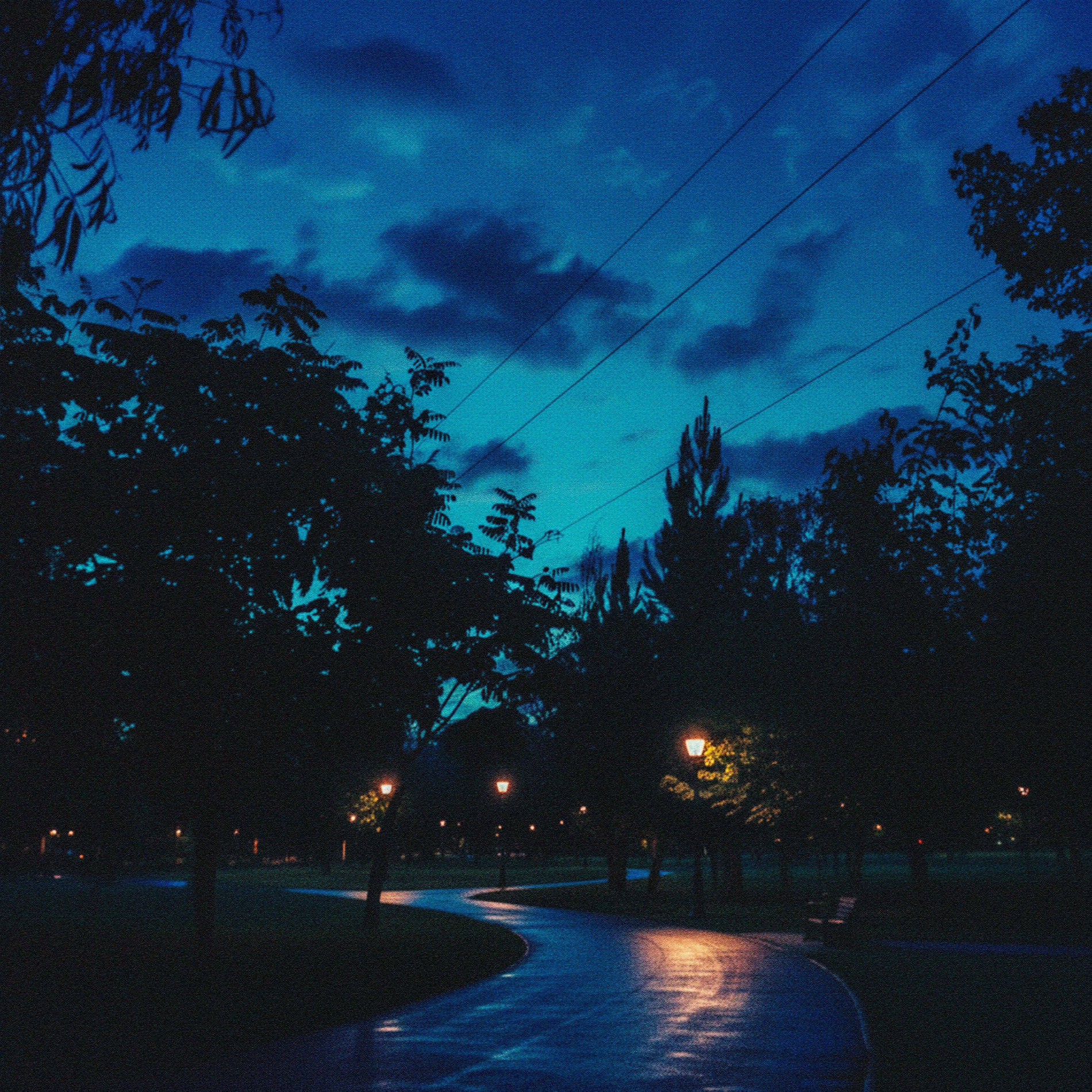 Album cover of Sweet Dawn