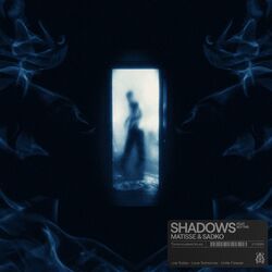 Cover of Shadows