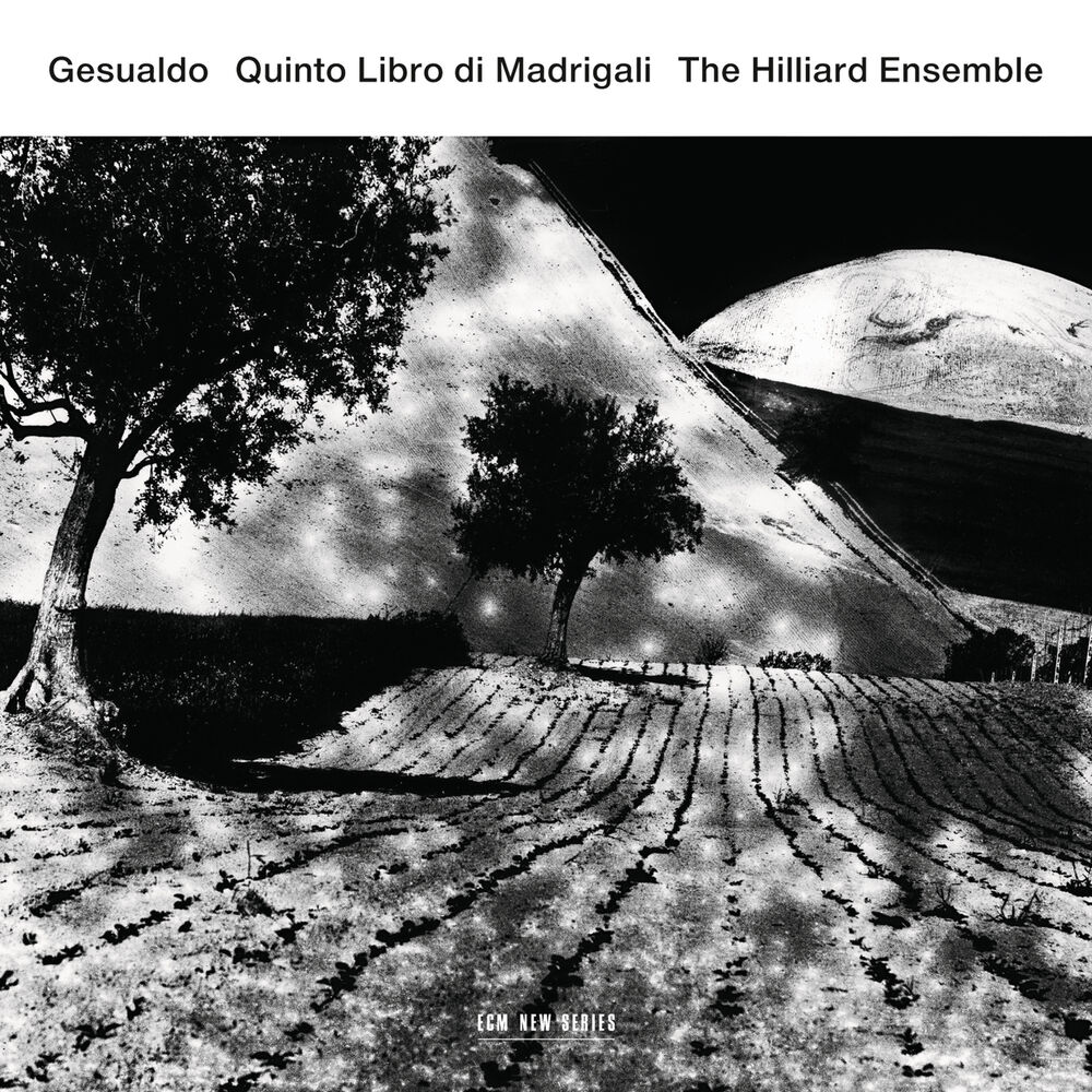 Picture of Gesualdo: Quinto Libro di Madrigali
