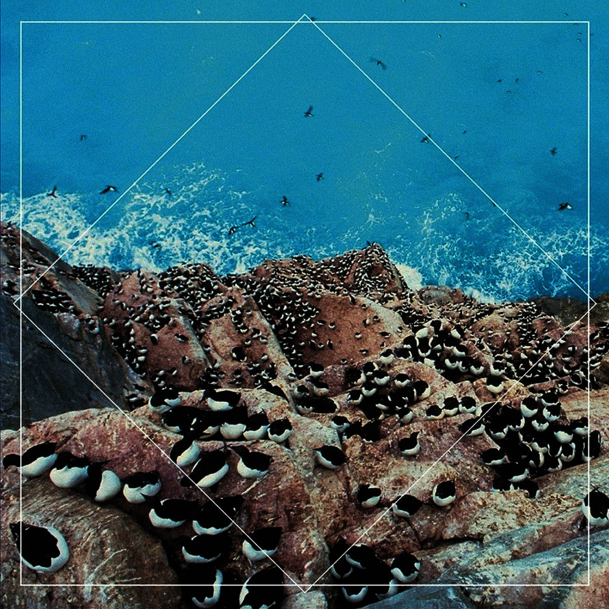 Album cover of Form and Function / Ursids