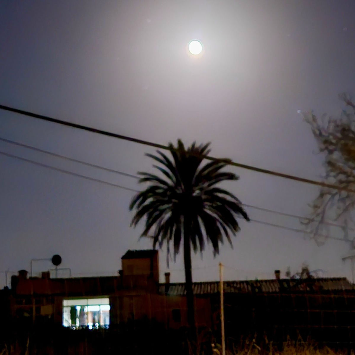 Album cover of nightwindlove