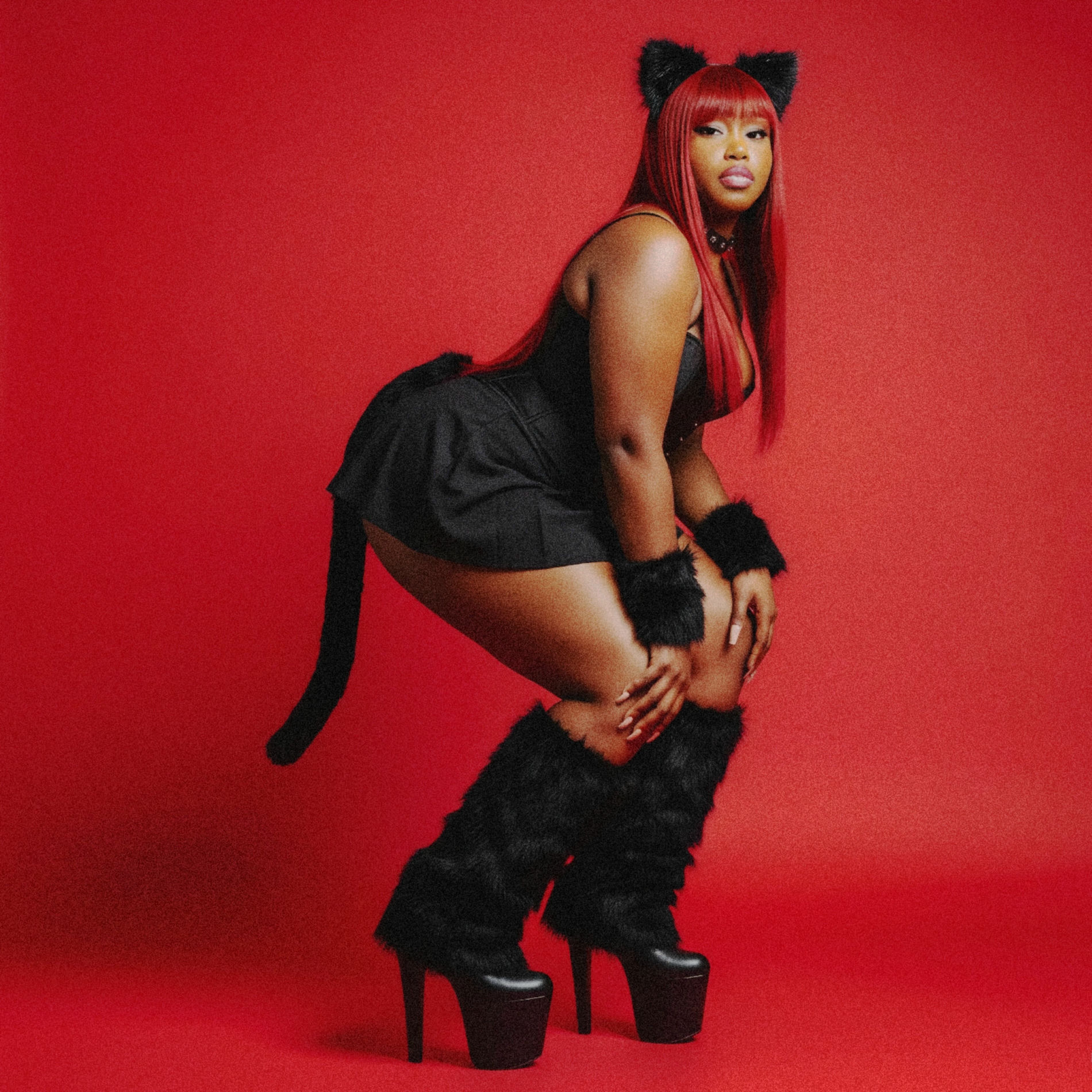 Album cover of Gatita