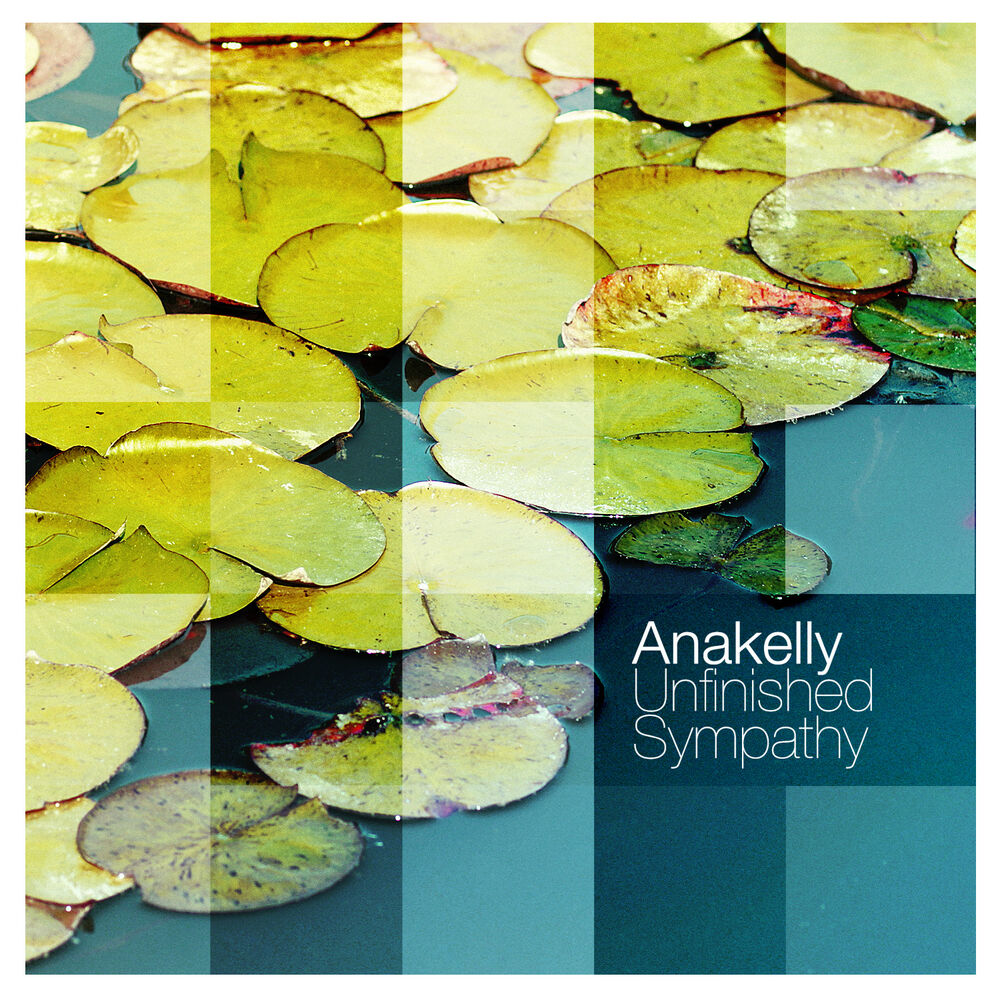 Picture of Unfinished Sympathy