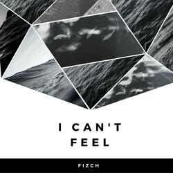 Cover of I Can't Feel