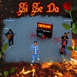 Cover of Si se da