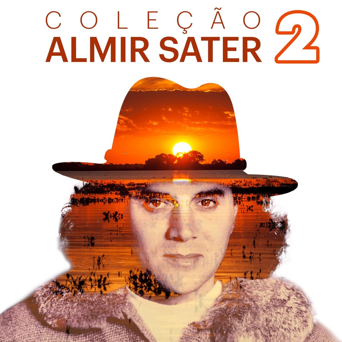 Album cover of Coleção Almir Sater, Vol. 2