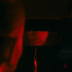 Cover of shy?