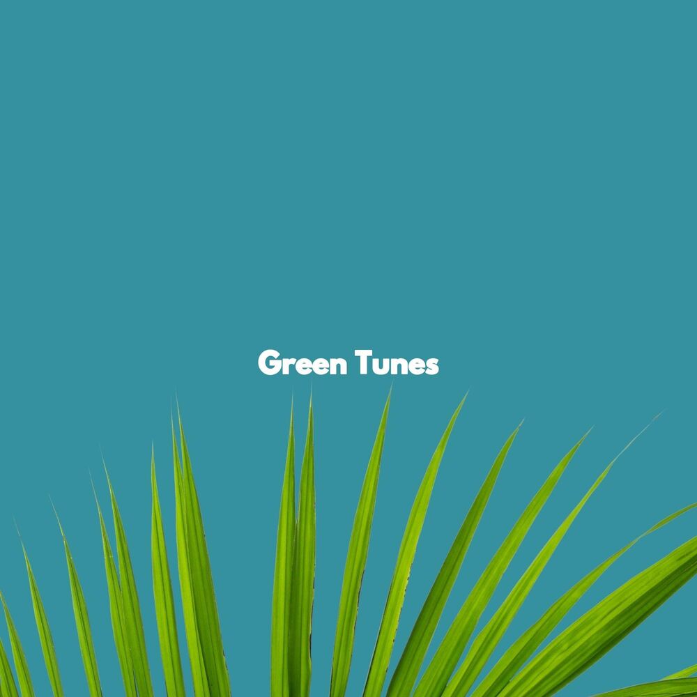 Picture of Green Tunes