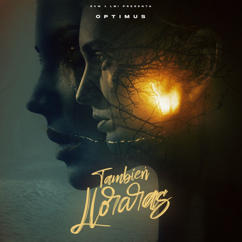 Picture of Tambien Lloraras