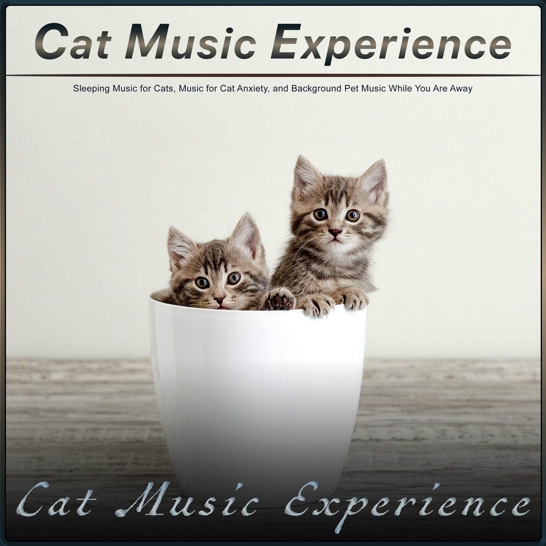 Album cover of Cat Music Experience: Sleeping Music for Cats, Music for Cat Anxiety, and Background Pet Music While You Are Away