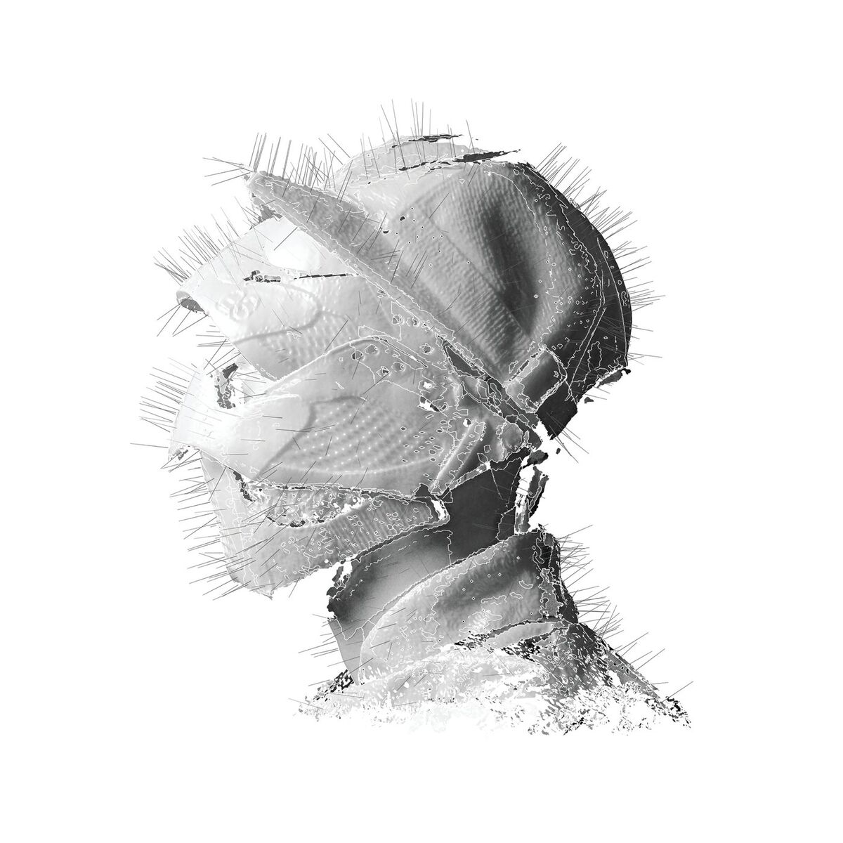 Album cover of The Golden Age