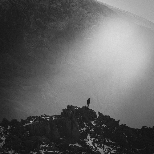 The Light