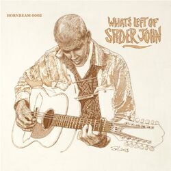 Cover of What's Left of Spider John