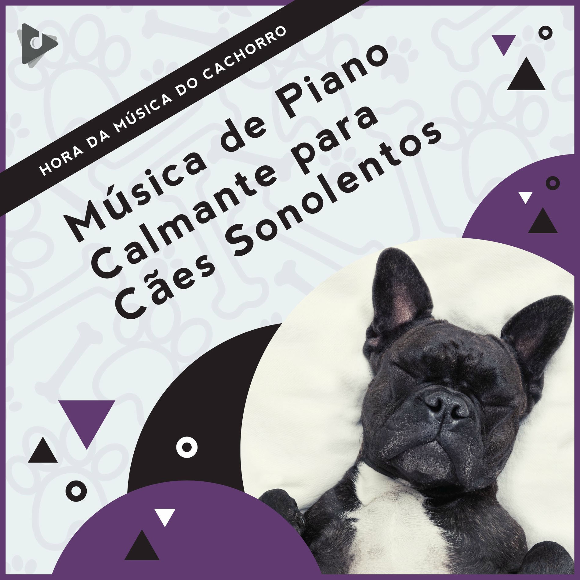 Album cover of Música de Piano Calmante para Cães Sonolentos