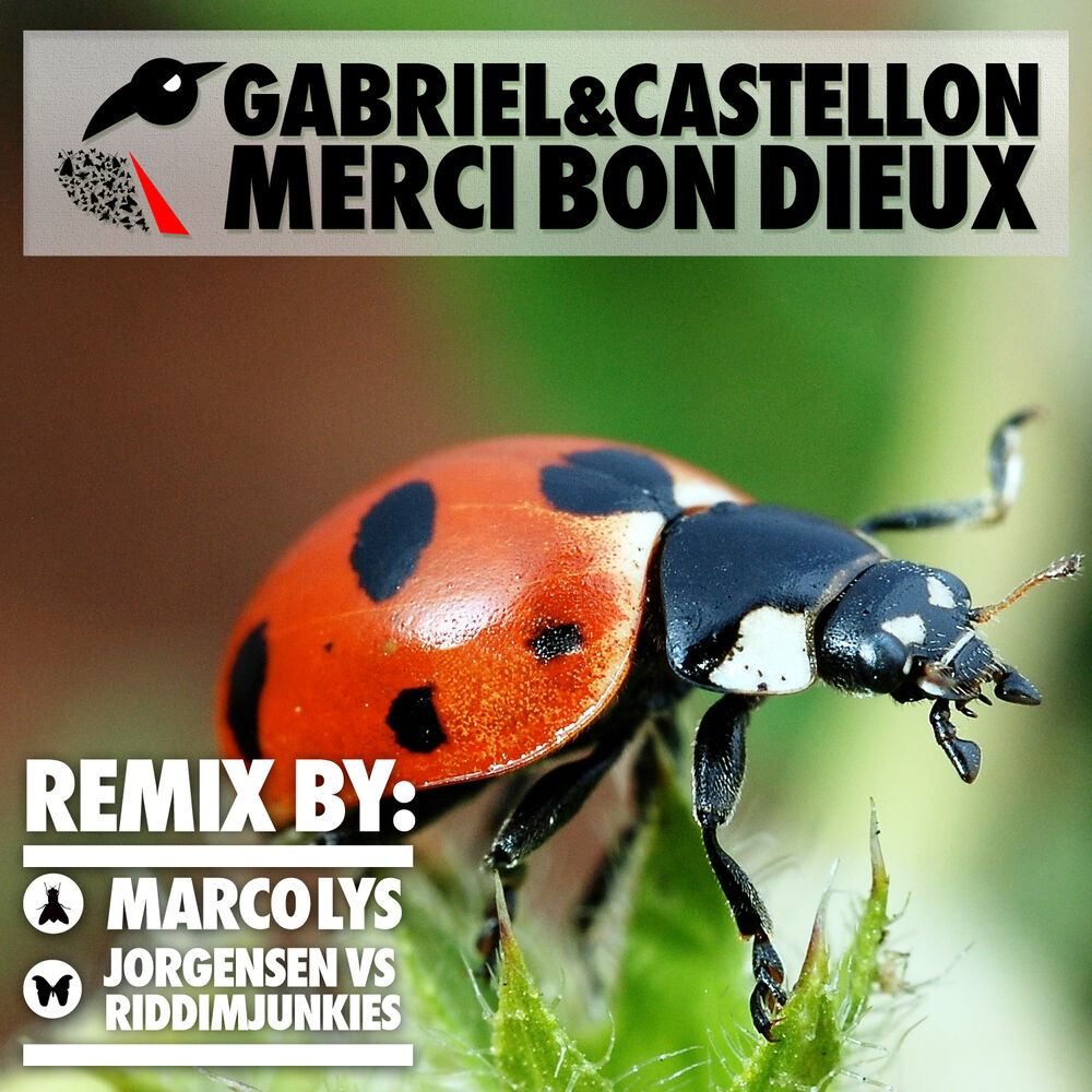 Picture of Merci Bon Dieux