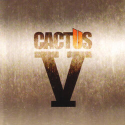 Cover of V