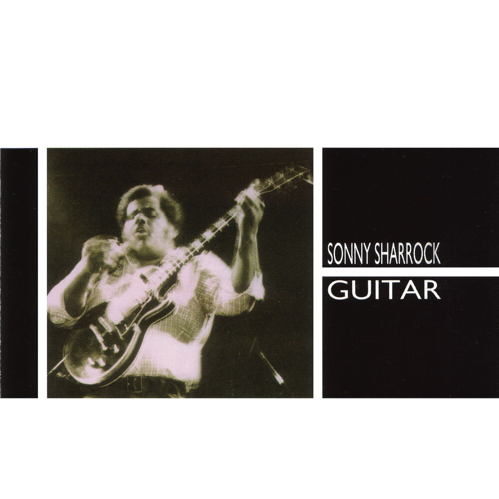 Picture of Guitar