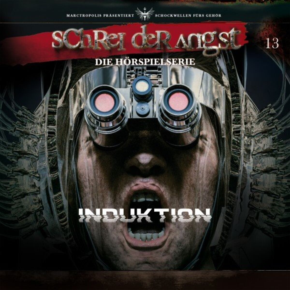 Album cover of Folge 13 - Induktion