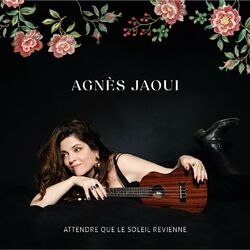 Cover of Attendre que le soleil revienne