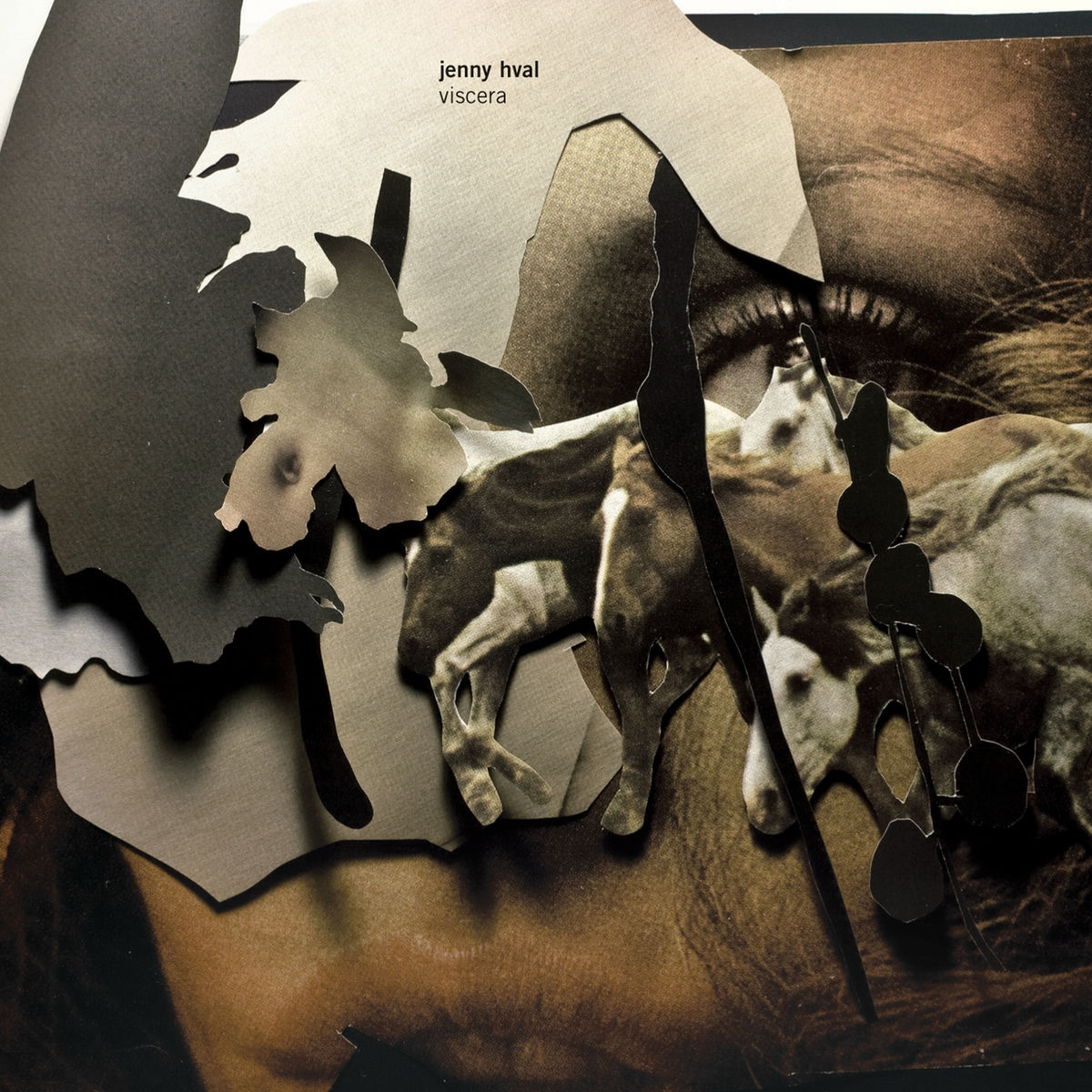 Album cover of Viscera