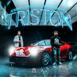 Cover of Triston