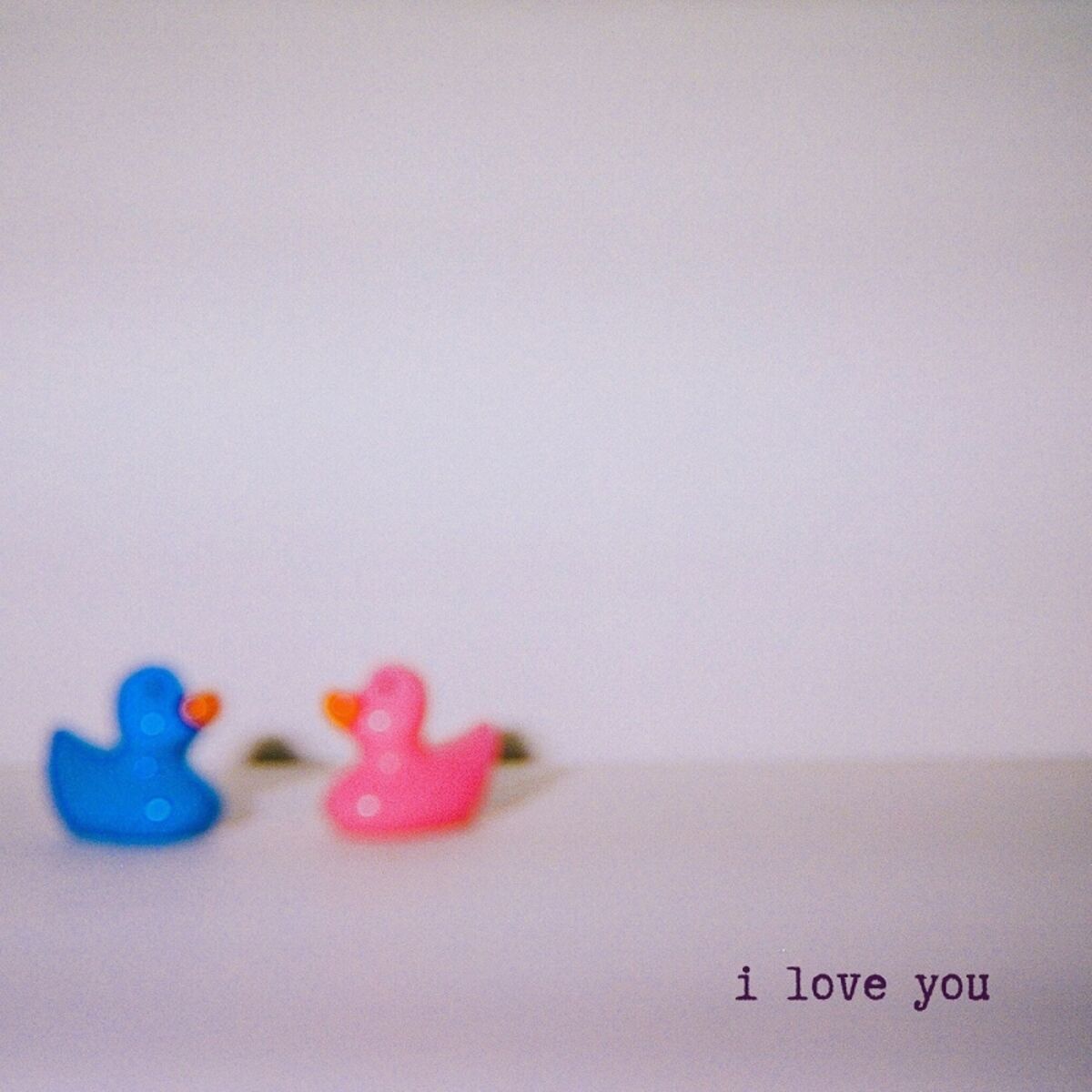 Album cover of i love you