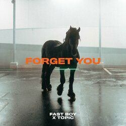 Cover of Forget You