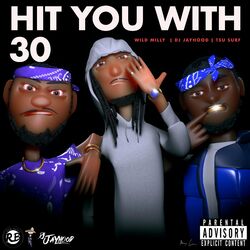Cover of Hit You With 30
