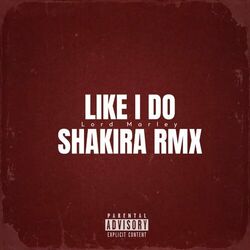 Cover of Like I do / Shakira Remix