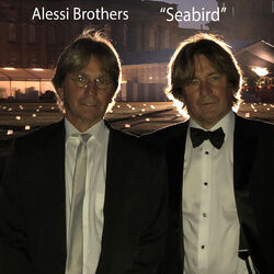Cover of Seabird