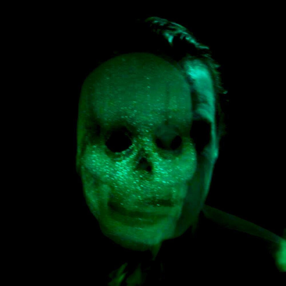 Picture of The Haunted Trash