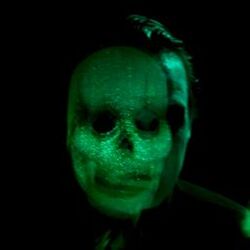 Cover of The Haunted Trash