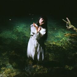 Cover of Porcelain