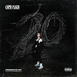 Cover of 20