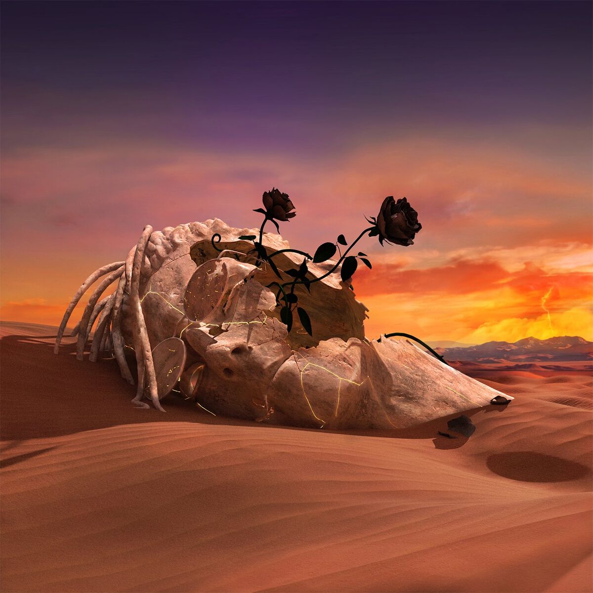 Album cover of Black Rose