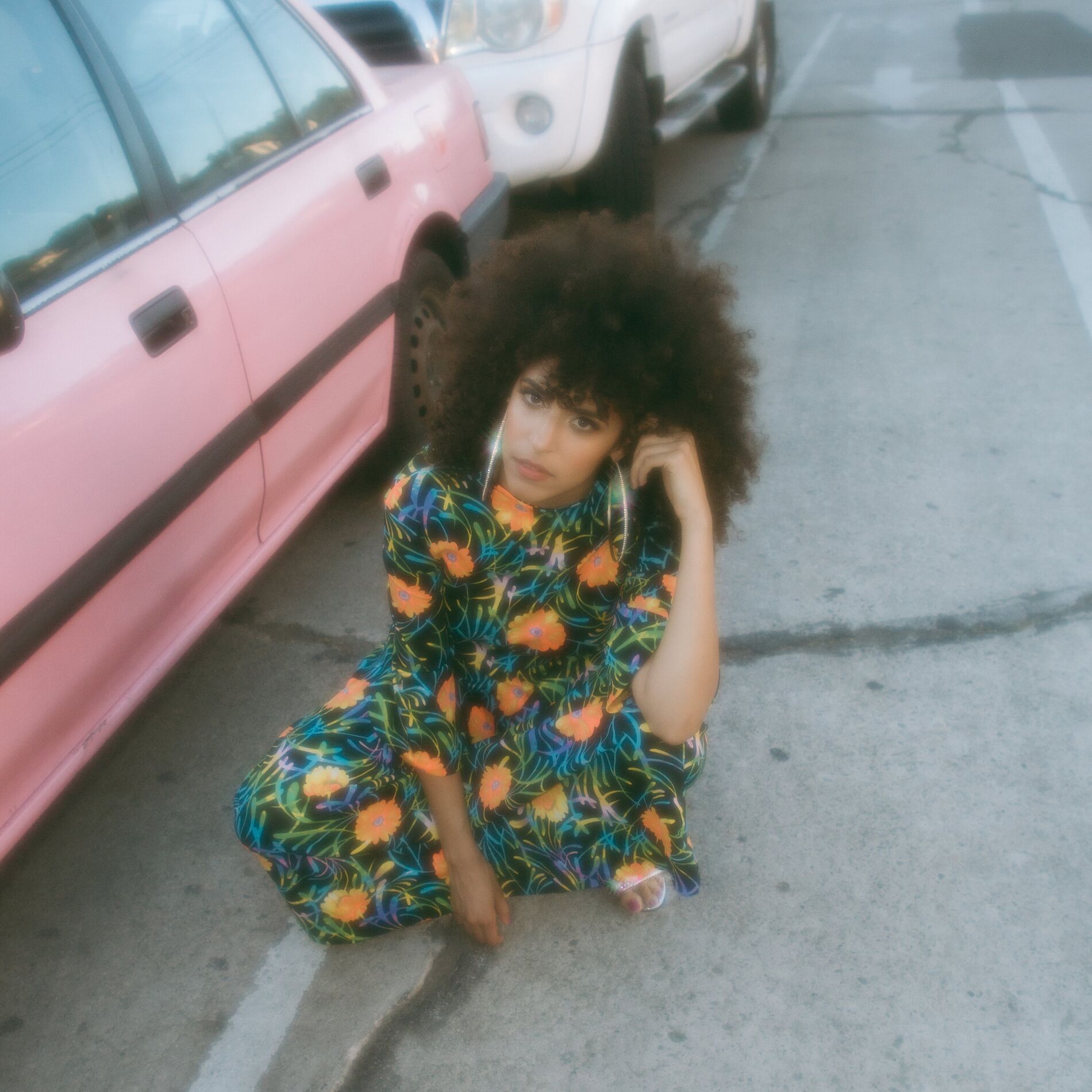Album cover of Birdie Bees